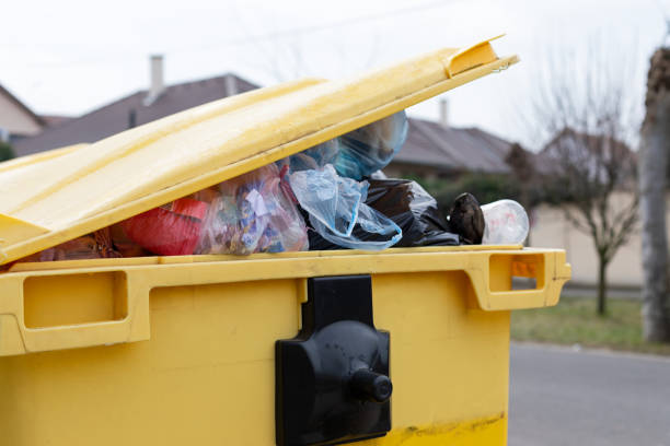 Best Dumpster Rental Services  in Elwood, IN